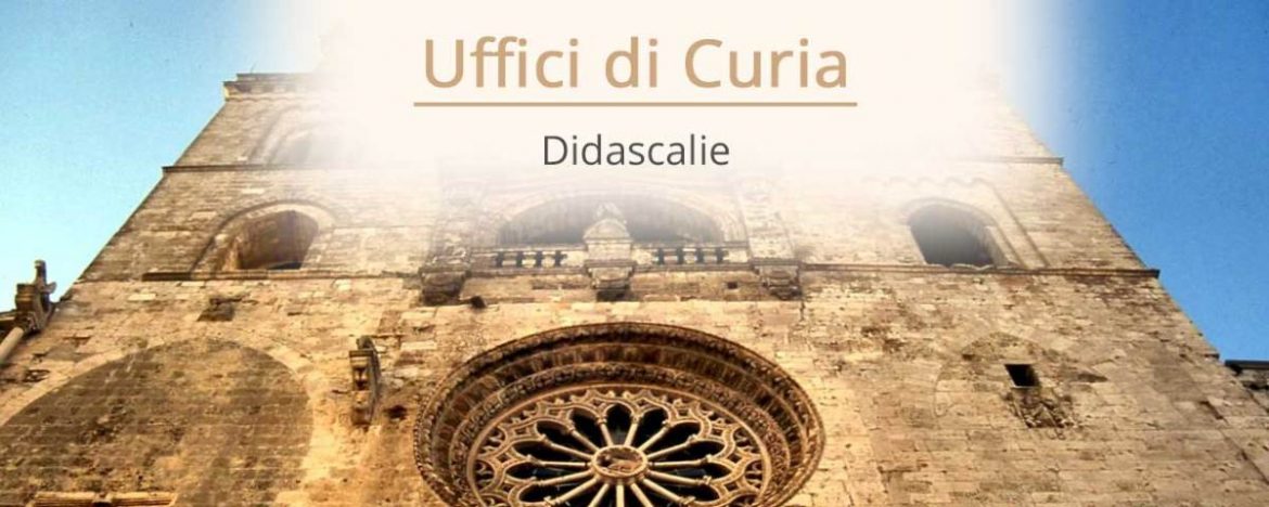 Curia