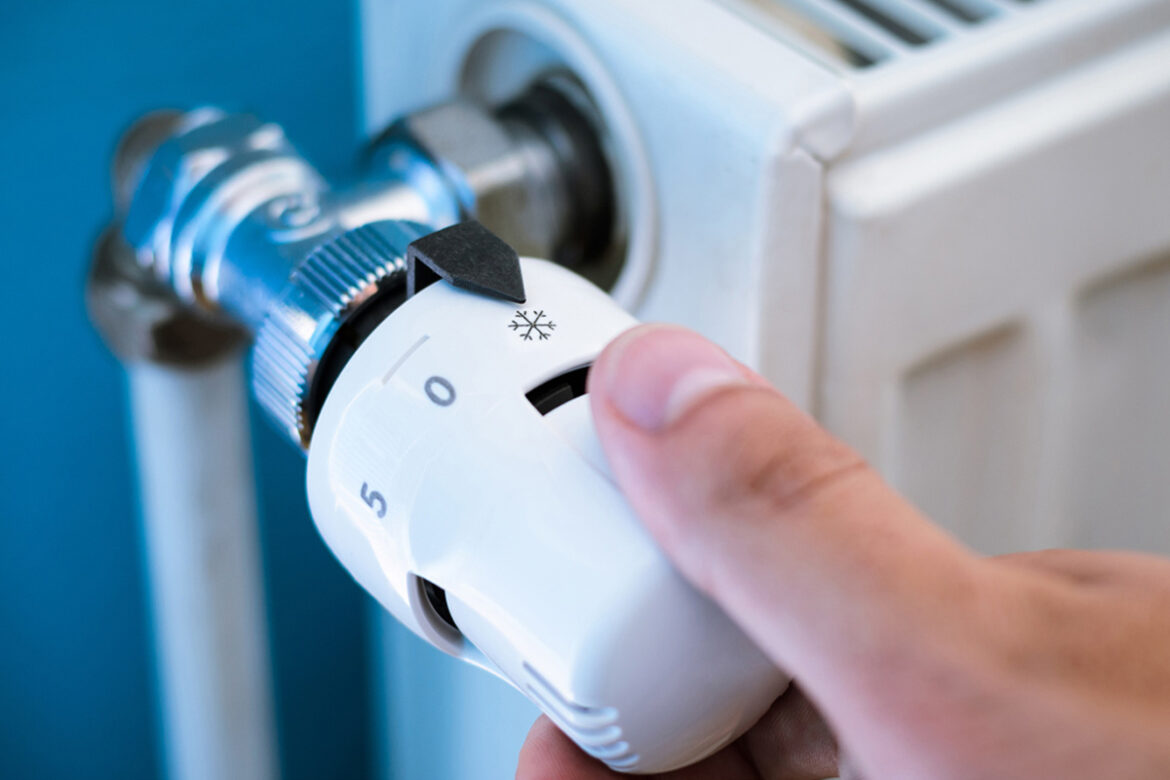 img-256246-O-29-1354-0-0-5f2a36684c364f270e3ae284b85e8d96